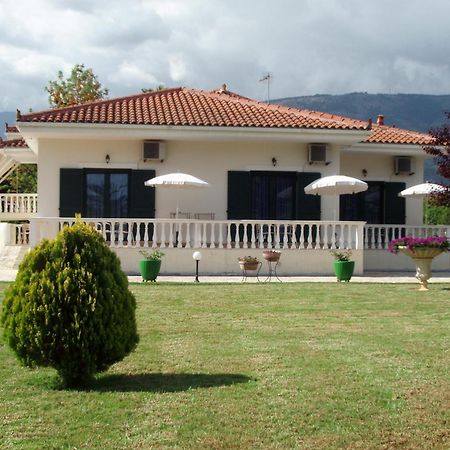 Finikes Studios Kefalonia ซามี ภายนอก รูปภาพ