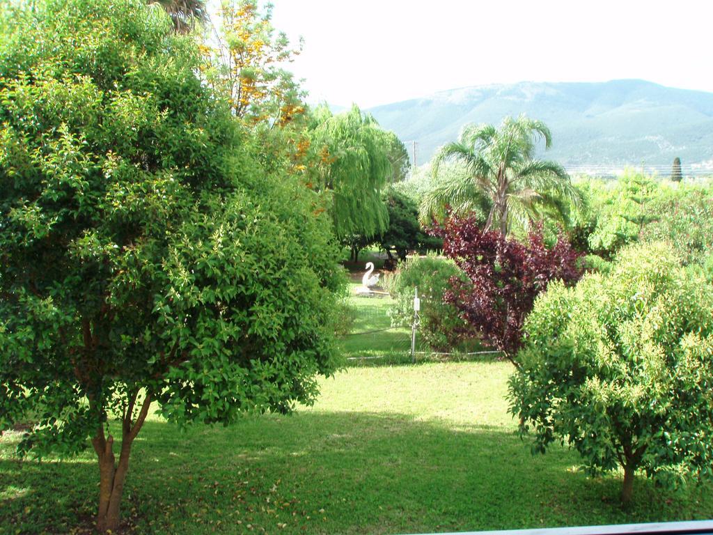 Finikes Studios Kefalonia ซามี ภายนอก รูปภาพ